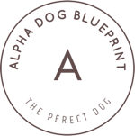 Alpha Dog Blueprint